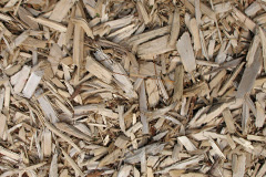 biomass boilers Soho