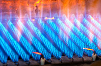 Soho gas fired boilers